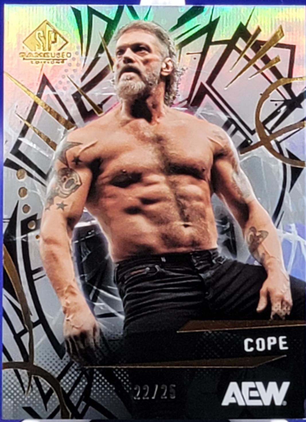 Adam Copeland [Rainbow] #75