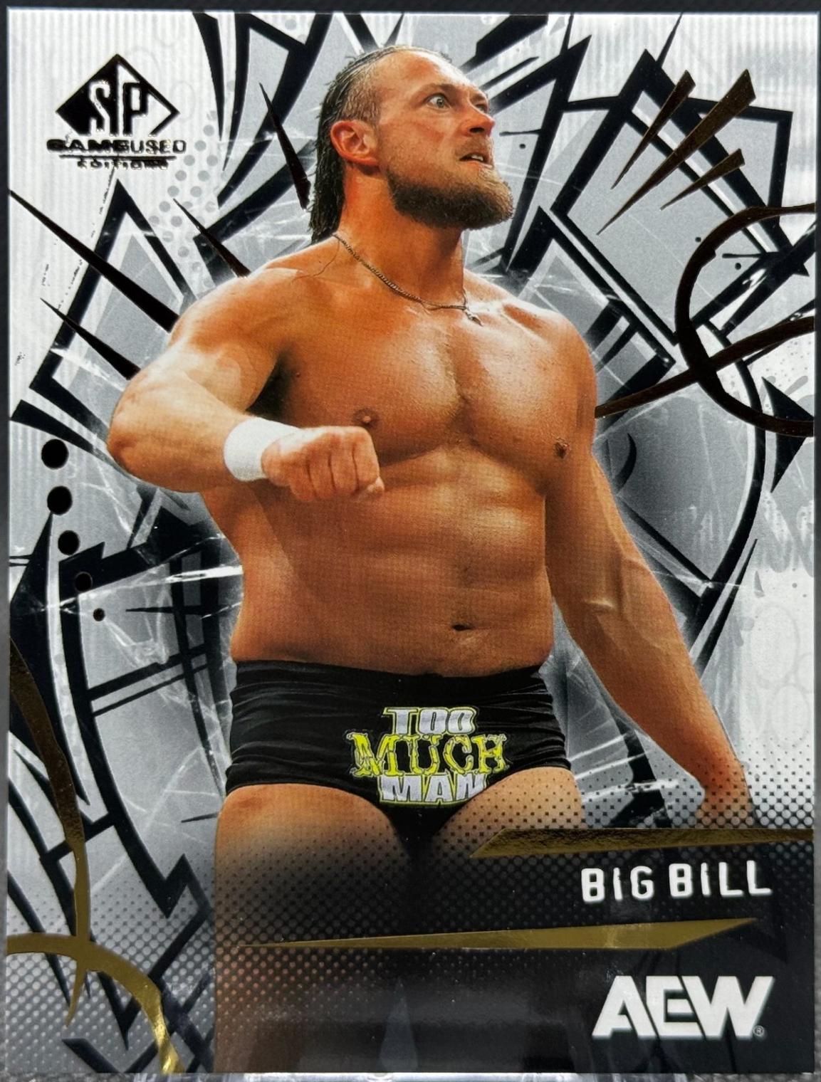Big Bill #13