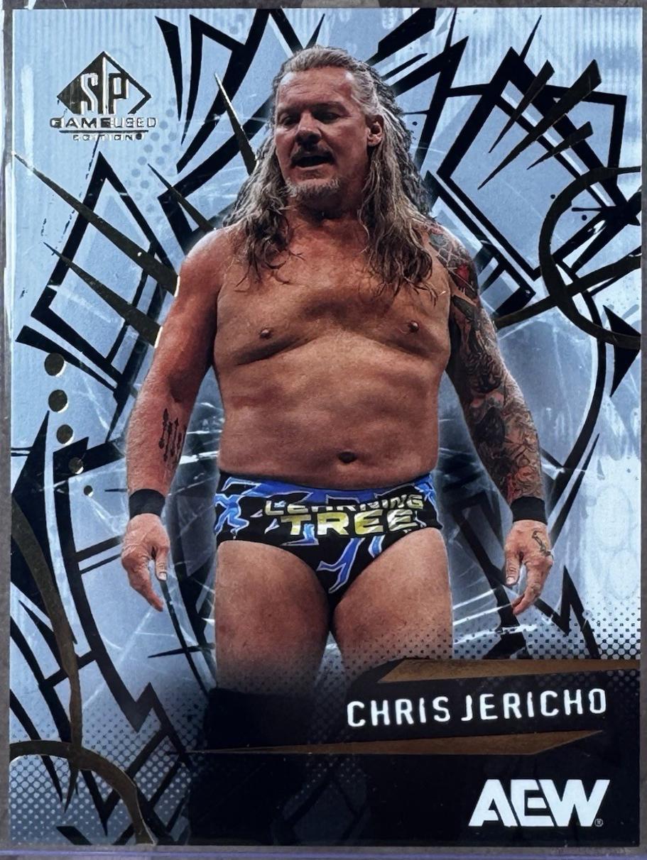 Chris Jericho #15