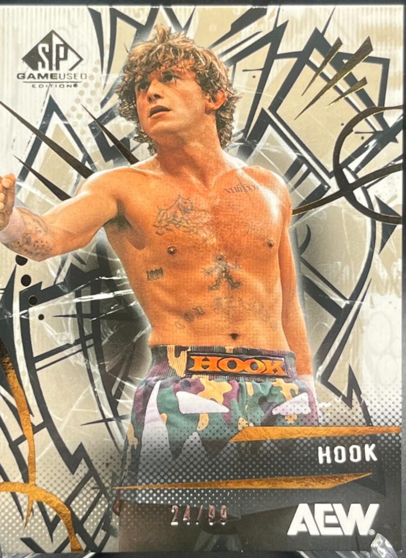 HOOK [Gold] #9
