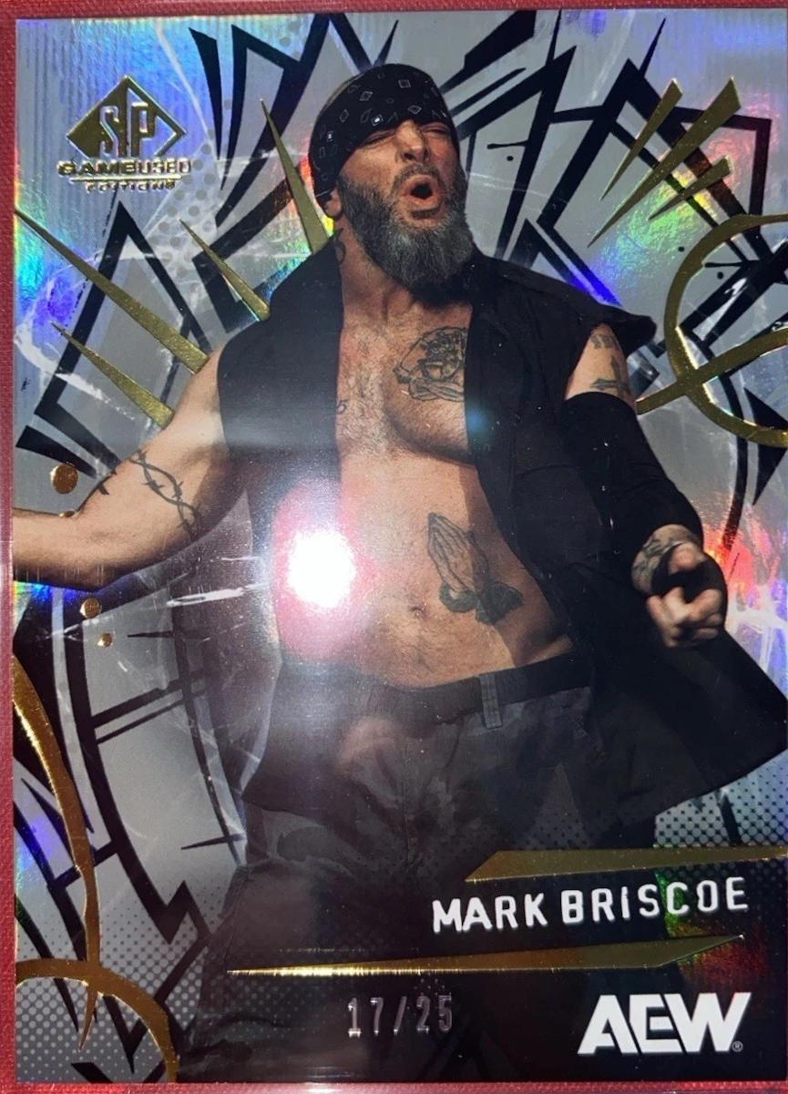 Mark Briscoe [Rainbow] #39