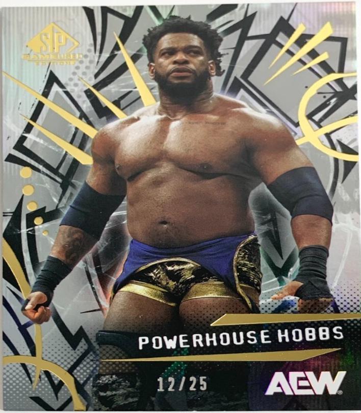 Powerhouse Hobbs [Rainbow] #26