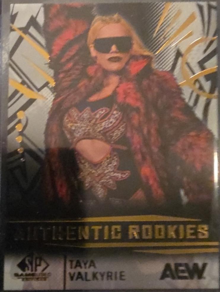 Taya Valkyrie #85