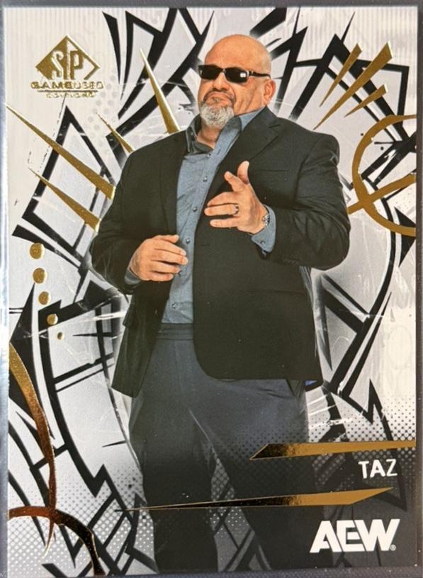 Taz #40