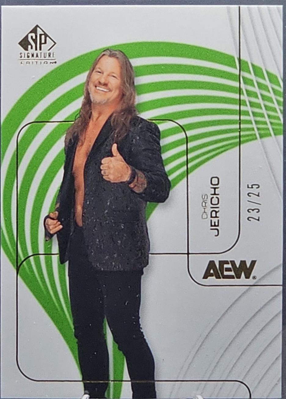 Chris Jericho [Green] #17