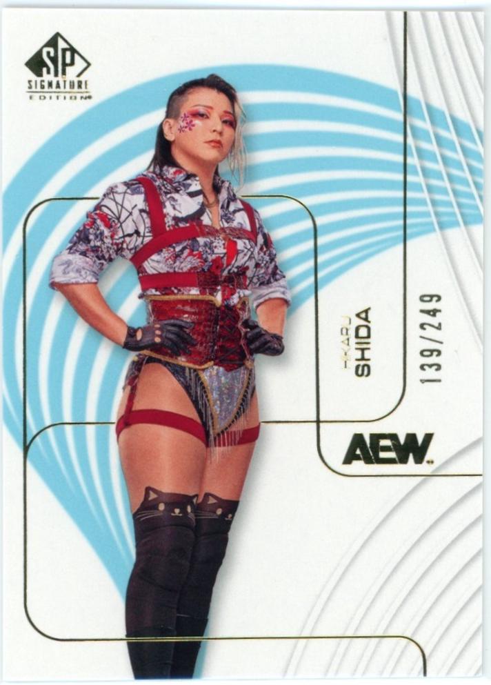 Hikaru Shida #31