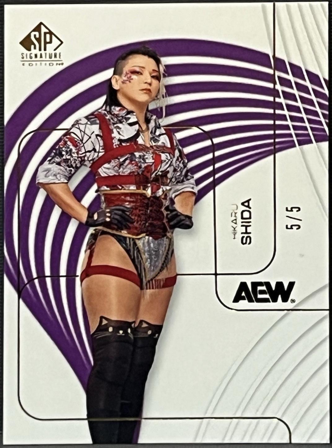 Hikaru Shida [Purple] #31