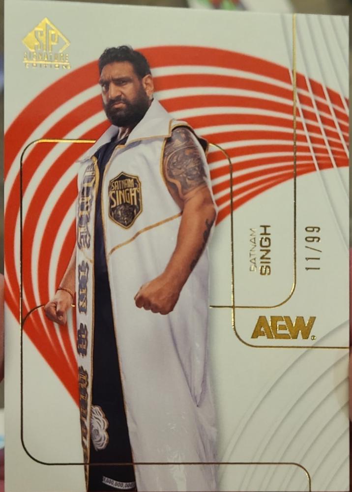 Satnam Singh [Ruby] #85
