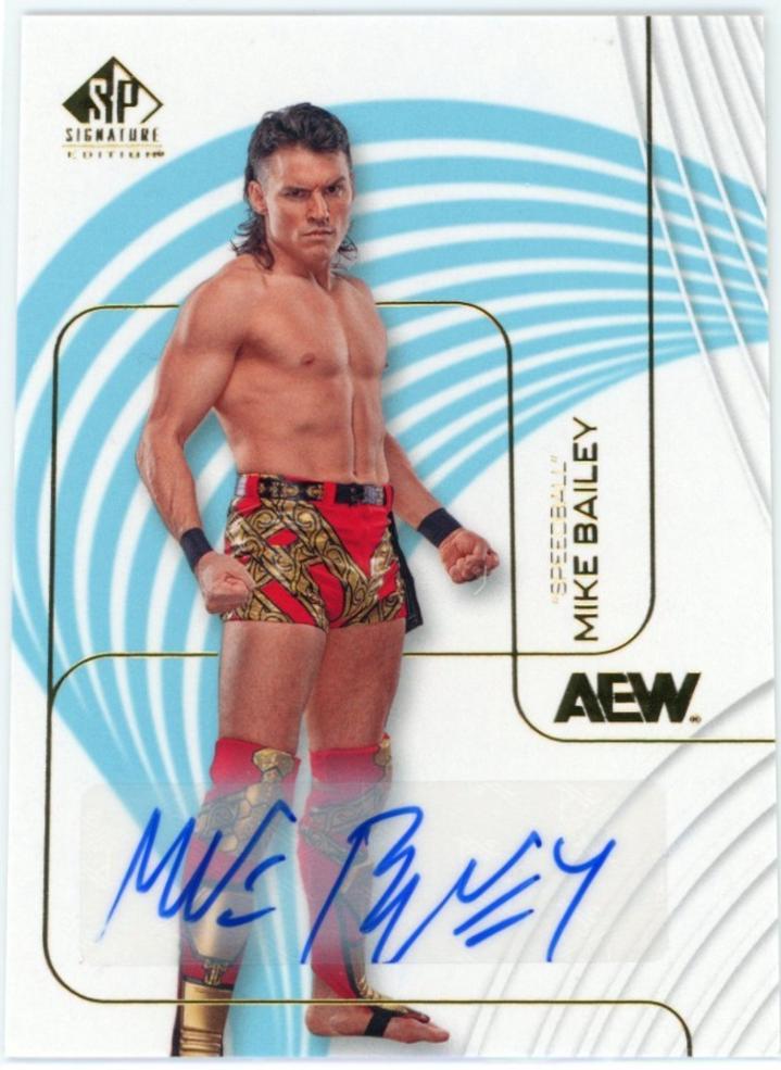 Speedball Mike Bailey [Autograph] #94
