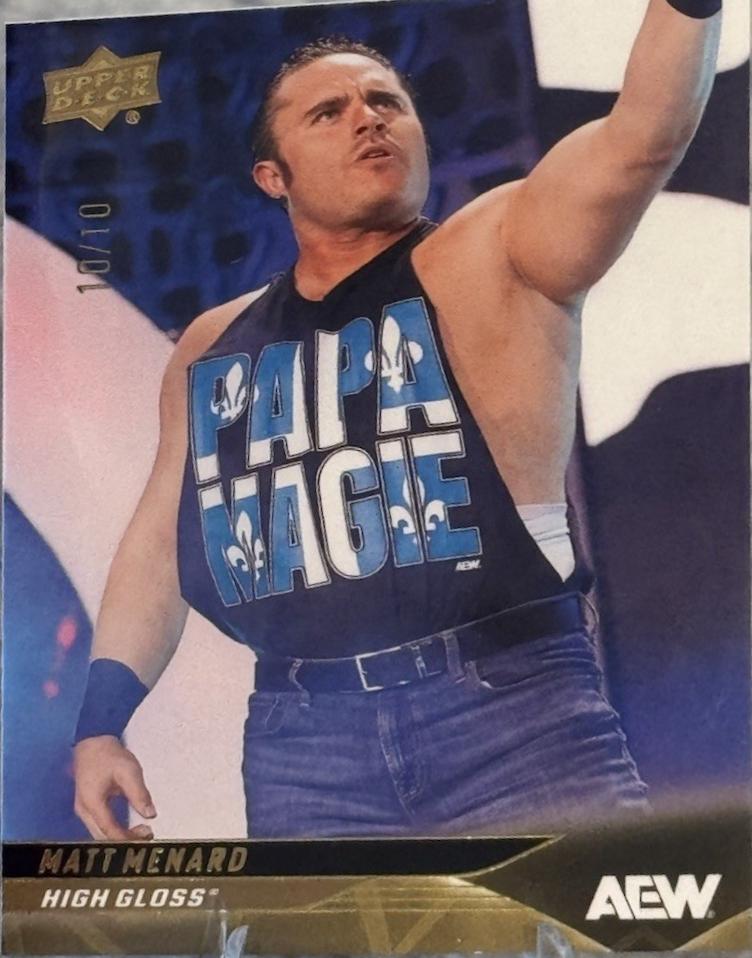 Matt Menard [High Gloss] #8