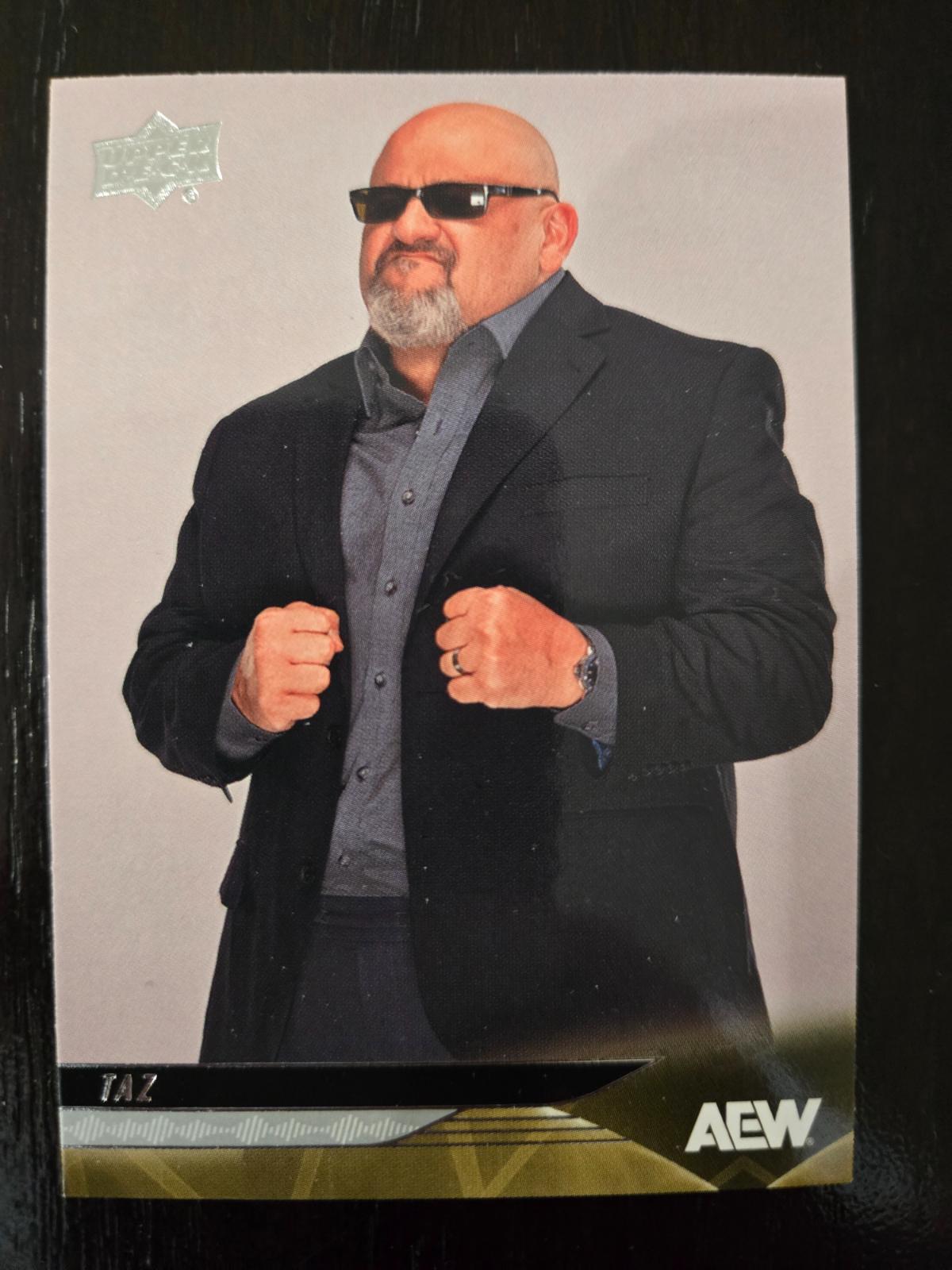 Taz #93