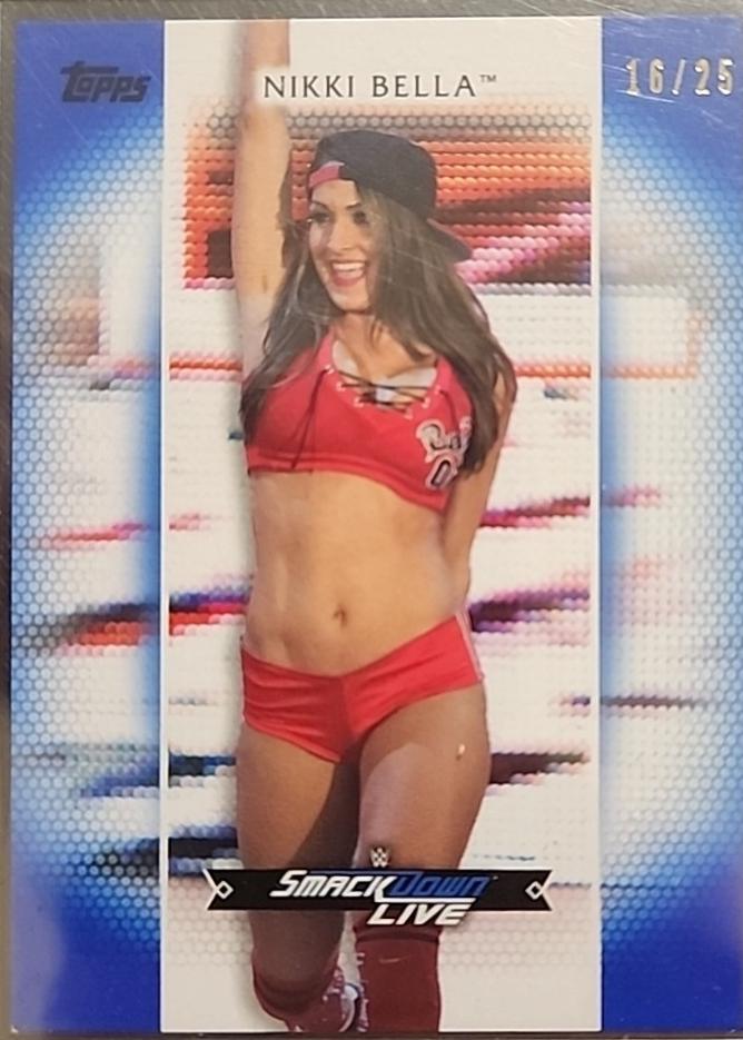 Nikki Bella [Blue] #R-34