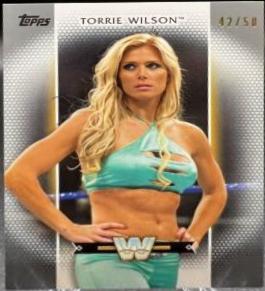 Torrie Wilson [Silver] #R-50