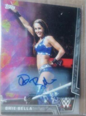 Brie Bella [Silver Autograph] #6