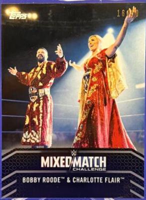 Charlotte Flair [Silver] #9