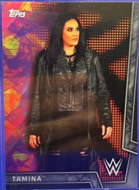 Tamina [Silver] #31