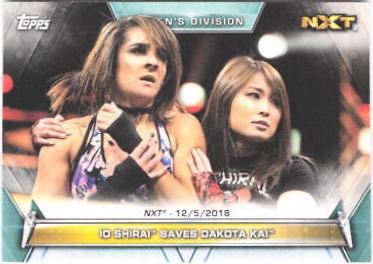 Io Shirai Saves Dakota Kai #93