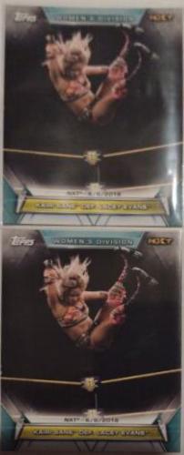 Kairi Sane def. Lacey Evans #74