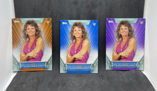 Miss Elizabeth [Orange] #58