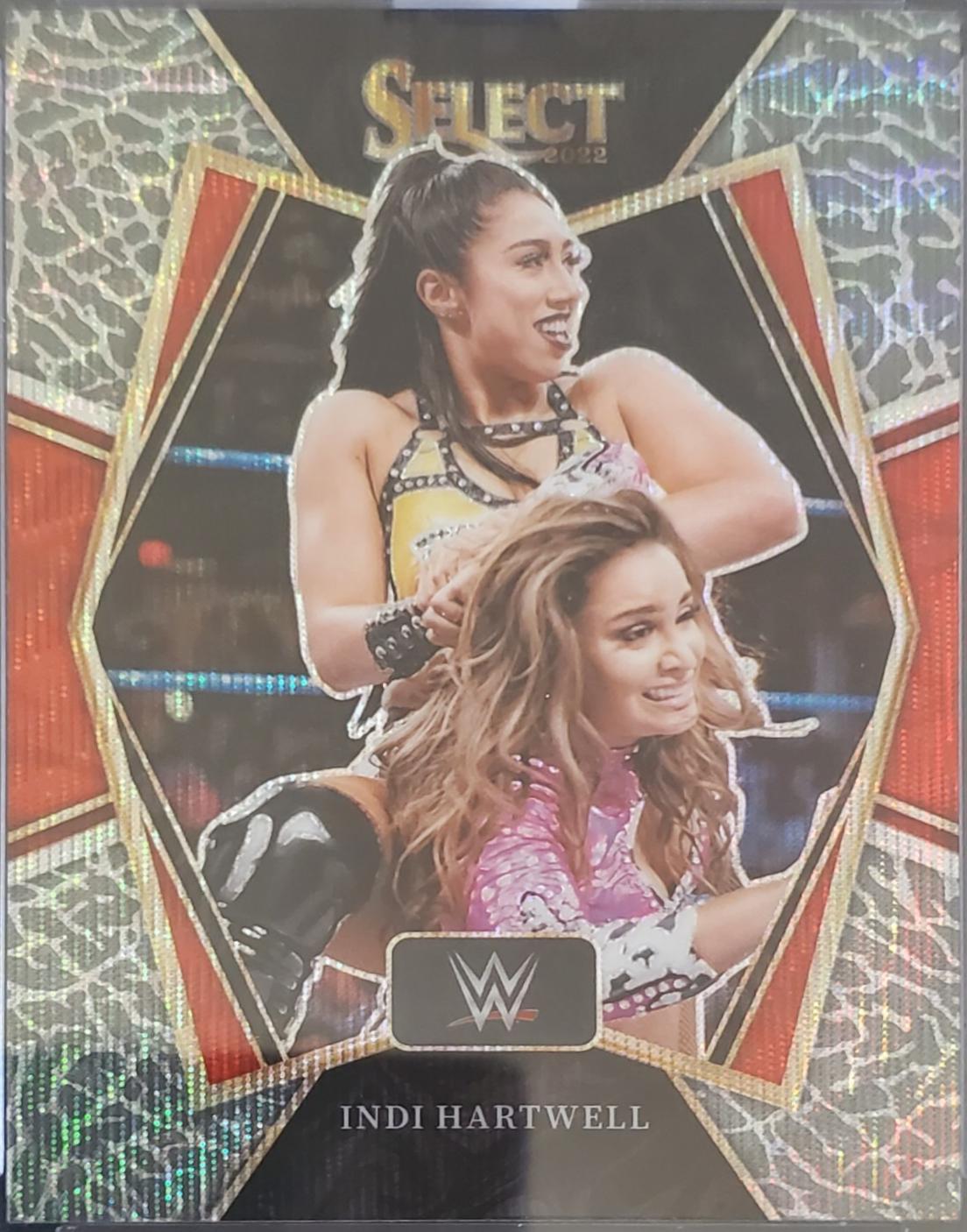Indi Hartwell [Elephant Prizm] #173