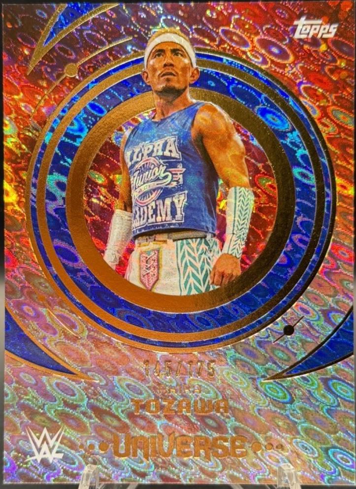 Akira Tozawa [Blue Pulse] #15
