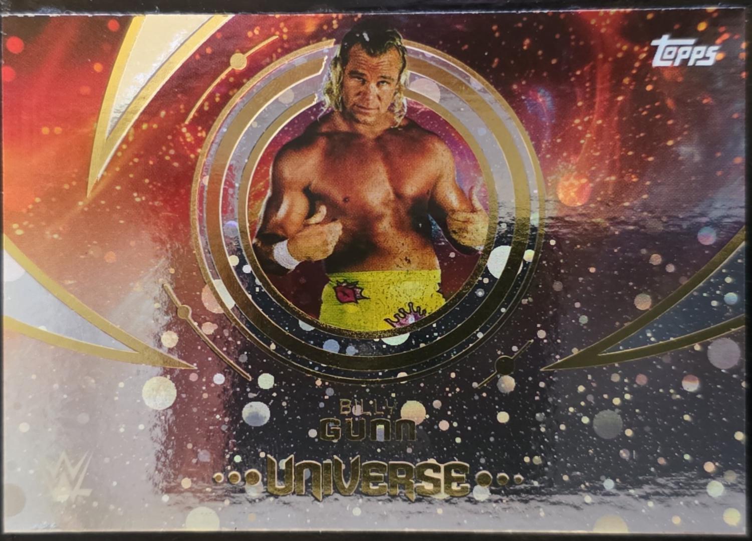 Billy Gunn [Galaxy] #188