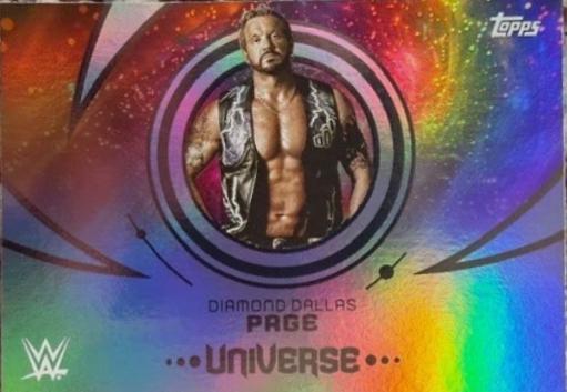 Diamond Dallas Page #173