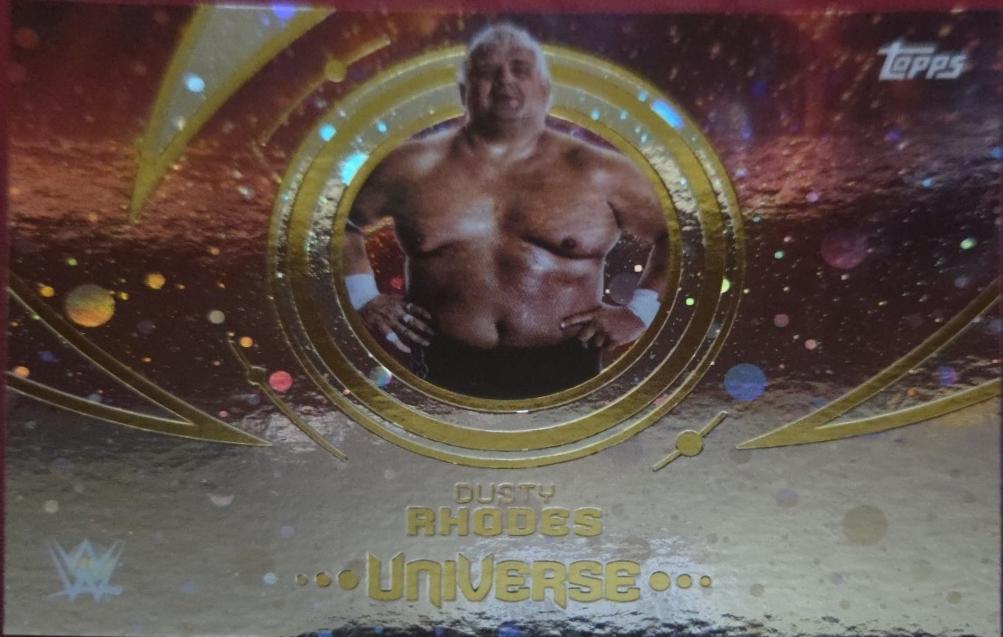 Dusty Rhodes [Galaxy] #194