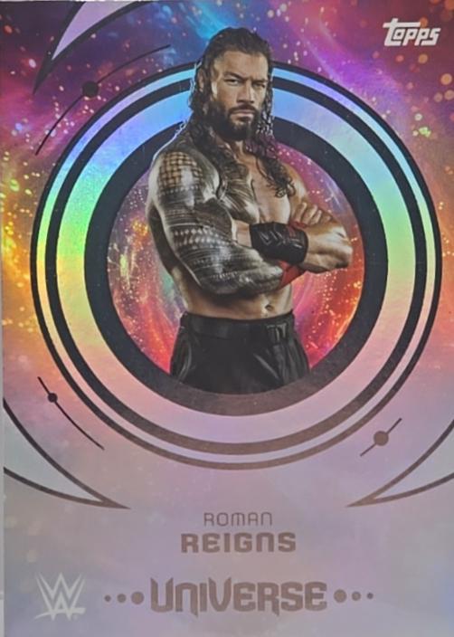 Roman Reigns #71