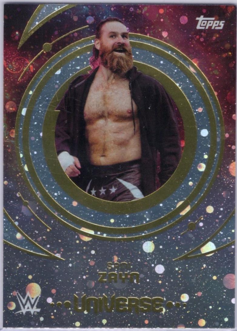 Sami Zayn [Galaxy] #25