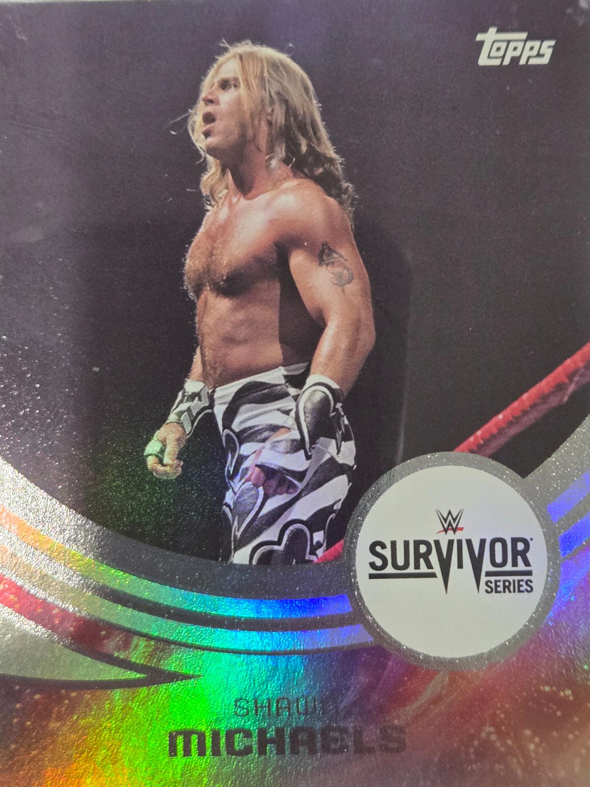 Shawn Michaels [Event Variation] #299