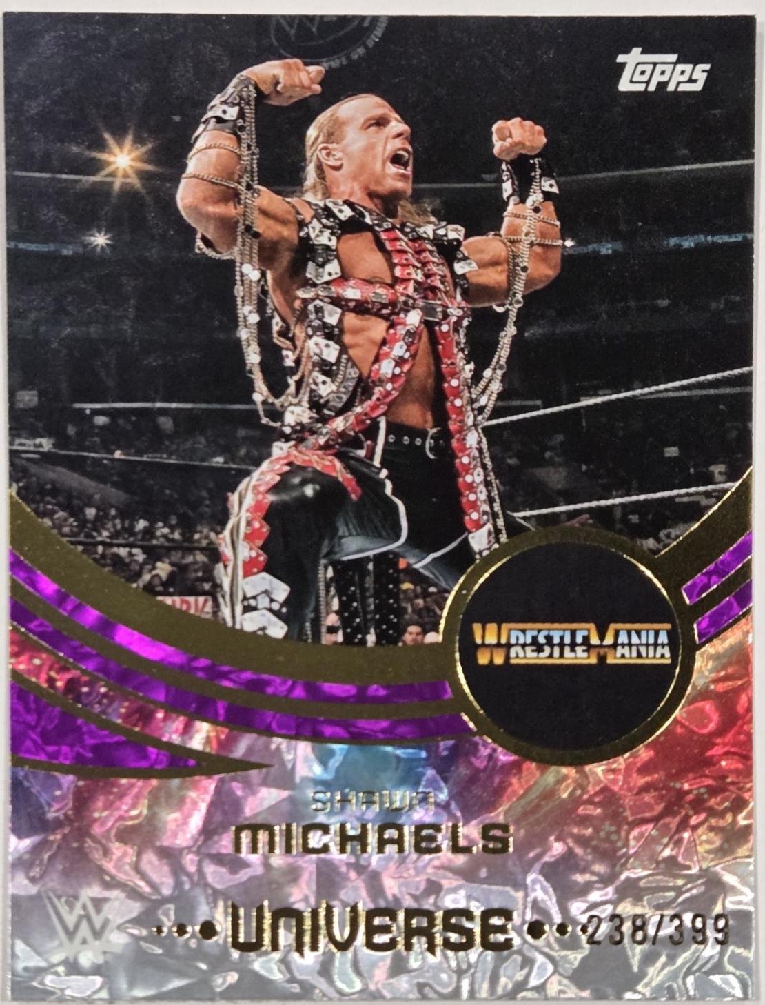 Shawn Michaels [Purple Glass Event Variation] #255