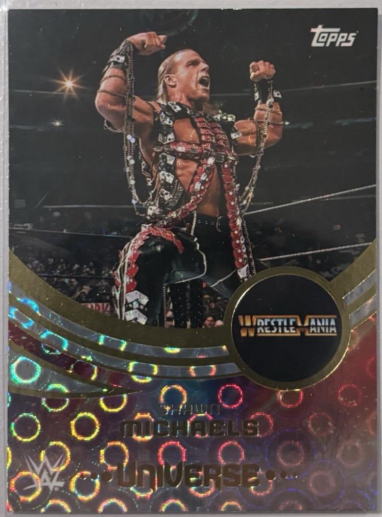 Shawn Michaels [Rings Event Variation] #255