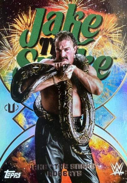 Jake The Snake Roberts #NMS-16