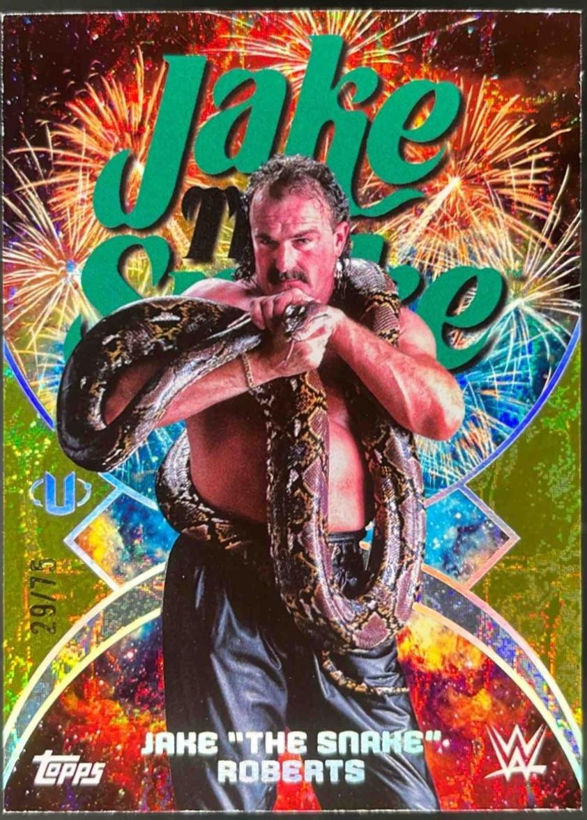 Jake The Snake Roberts [Gold Stone] #NMS-16