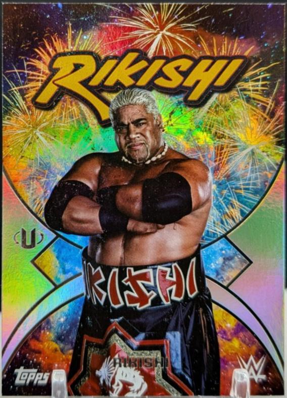 Rikishi #NMS-3