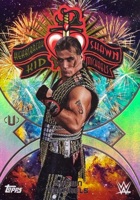 Shawn Michaels #NMS-27