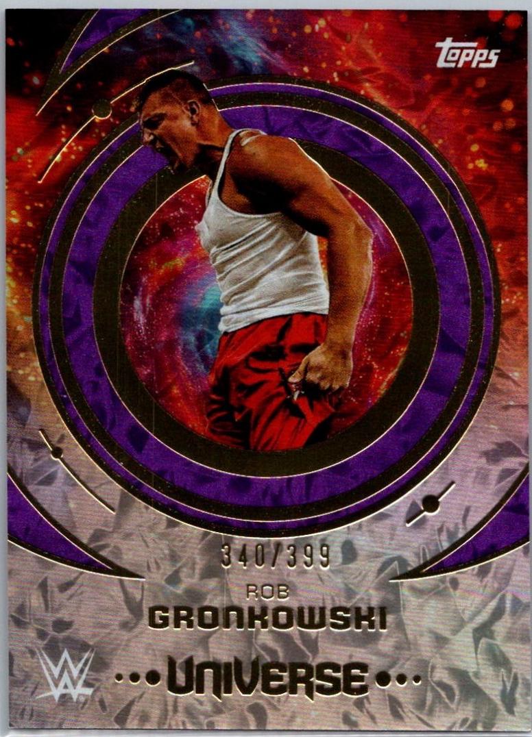 Rob Gronkowski [Purple Glass] #3