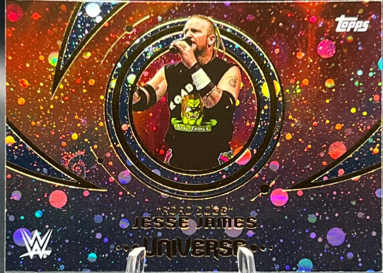Road Dogg Jesse James [Galaxy] #169