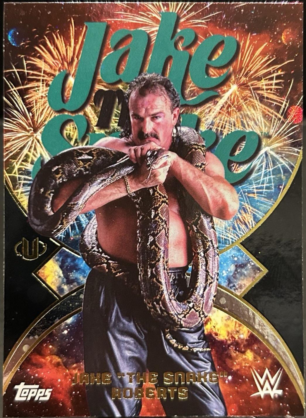 Jake The Snake Roberts [Galaxy] #NMS-16