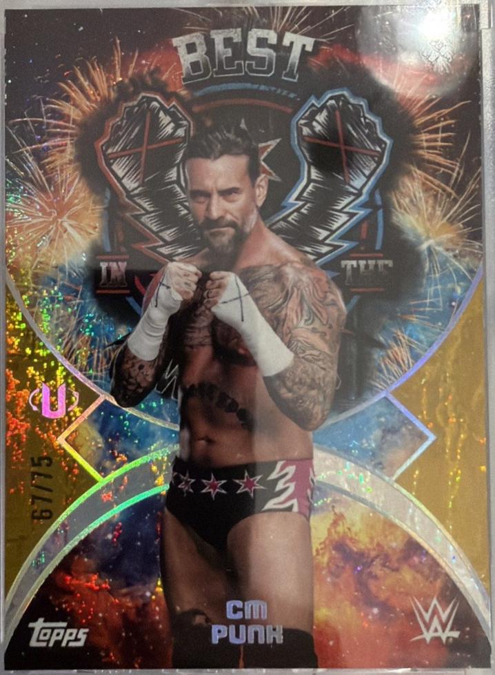 CM Punk [Gold Stone] #NMS-2