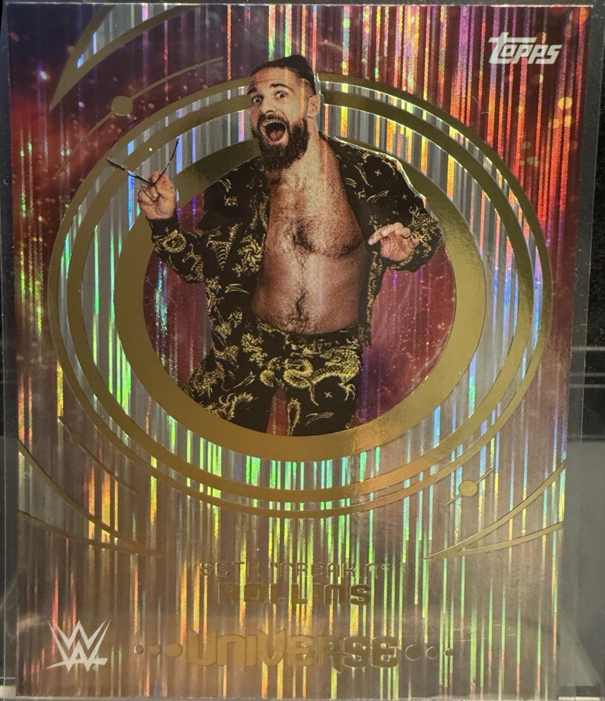Seth Freakin Rollins [Flare] #12