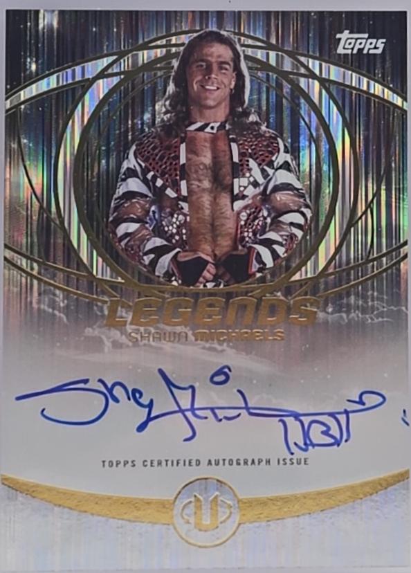 Shawn Michaels #LGA-SMI