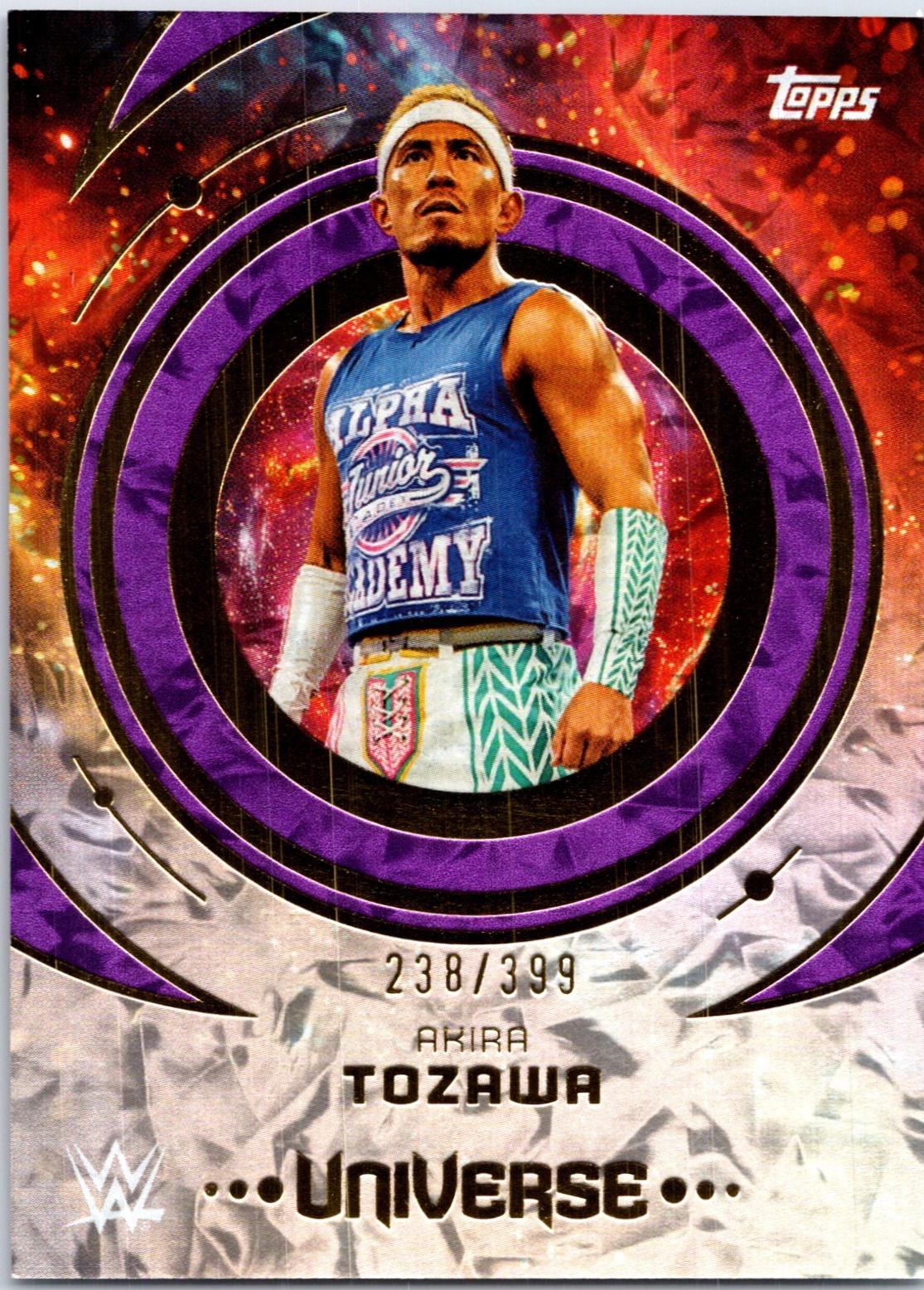 Akira Tozawa [Purple Glass] #15