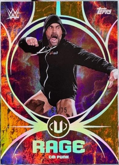 CM Punk [Gold Stone] #RA-8