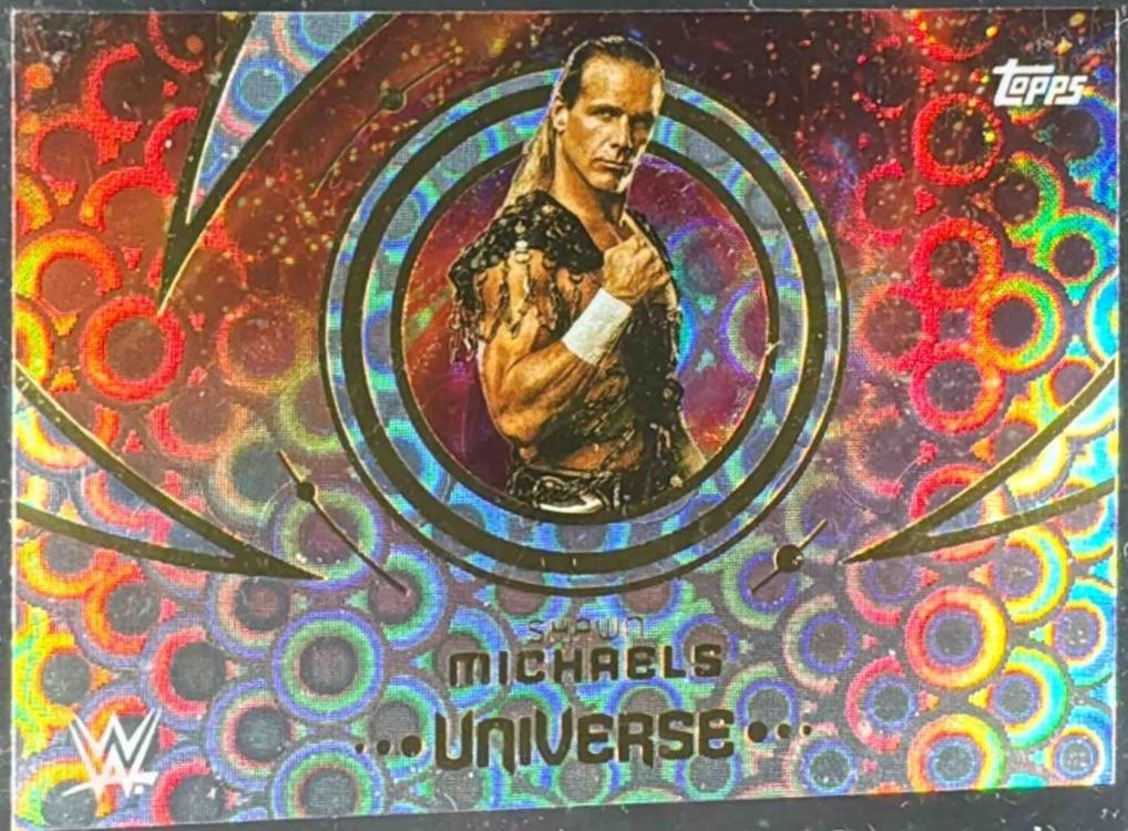 Shawn Michaels [Rings] #187