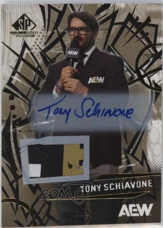 Tony Schiavone [Memorabilia Autograph] #41