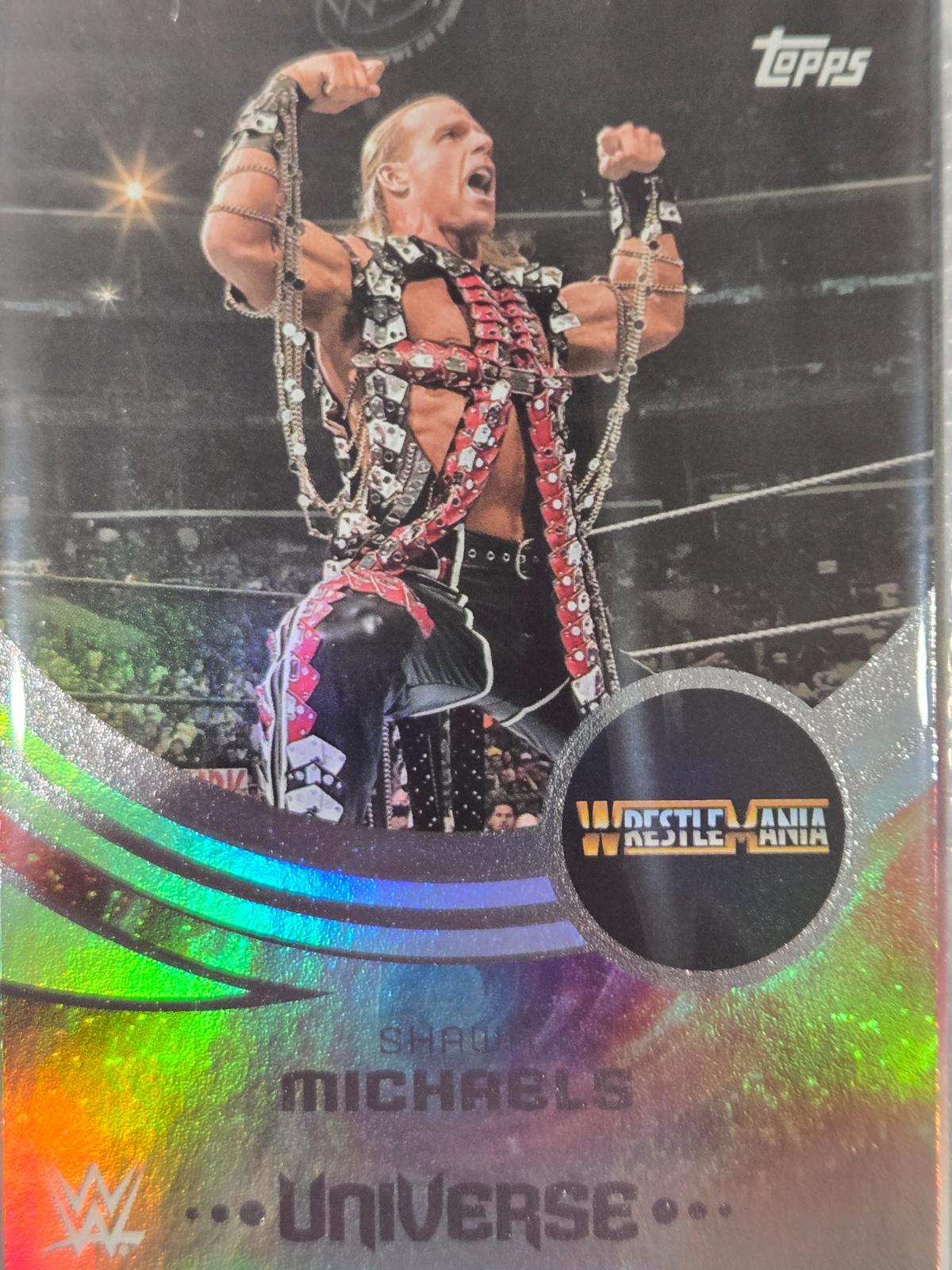 Shawn Michaels [Event Variation] #255