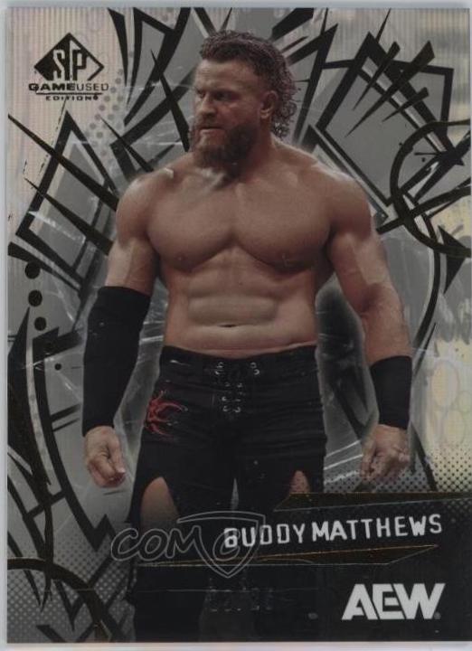 Buddy Matthews [Rainbow] #70