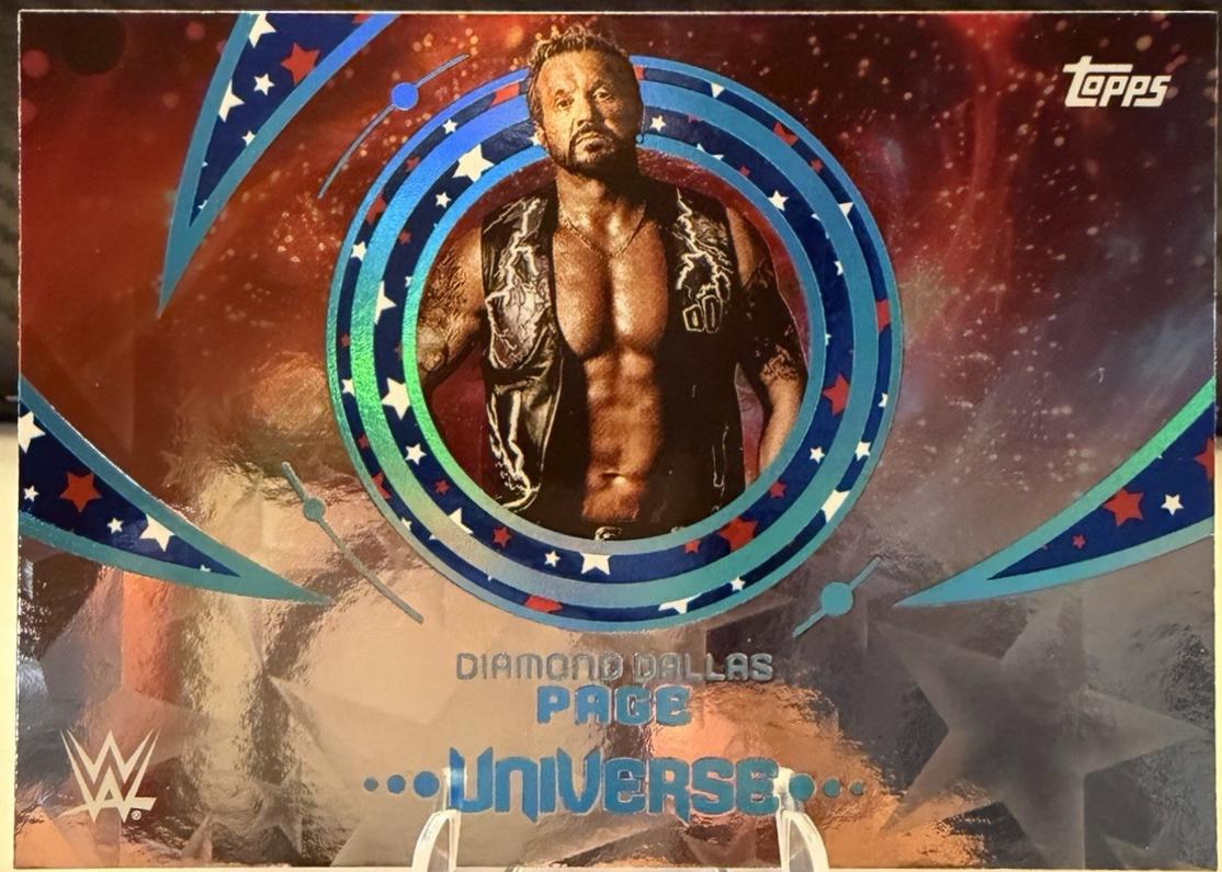 Diamond Dallas Page [Red White Blue Stars] #173